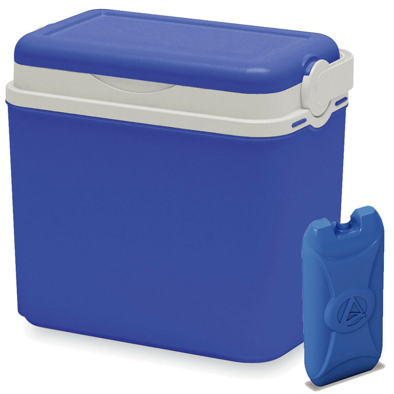 Symple Stuff 10 L Handheld Cooler Wayfair.co.uk